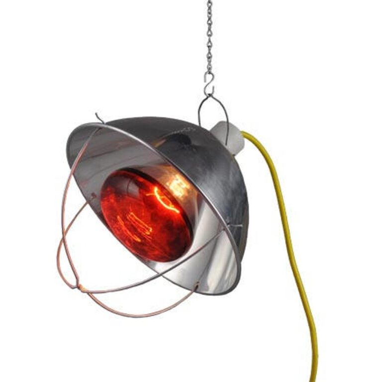 Chicken-Brooder-1-Bulb-LG__17652