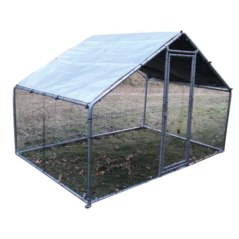 Chicken-Run-Empty_square__42066
