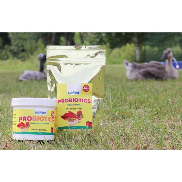 PROBIOTICS+ W/ ELECTROLYTES & VITAMINS - 200 G - Image 3