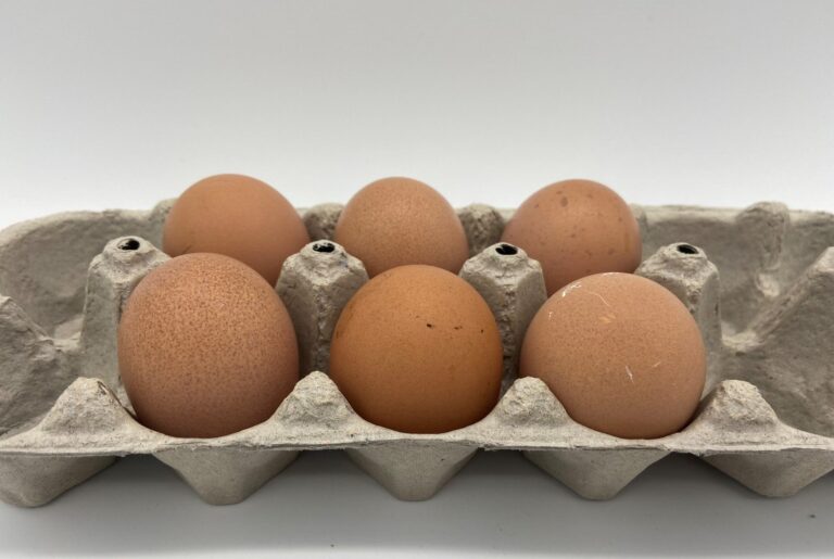 Brown-Egger™-1-scaled-1