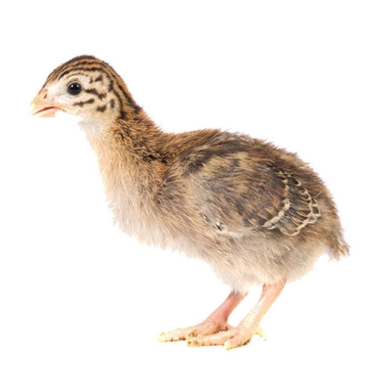 lllllllllllllllllllllllllllll