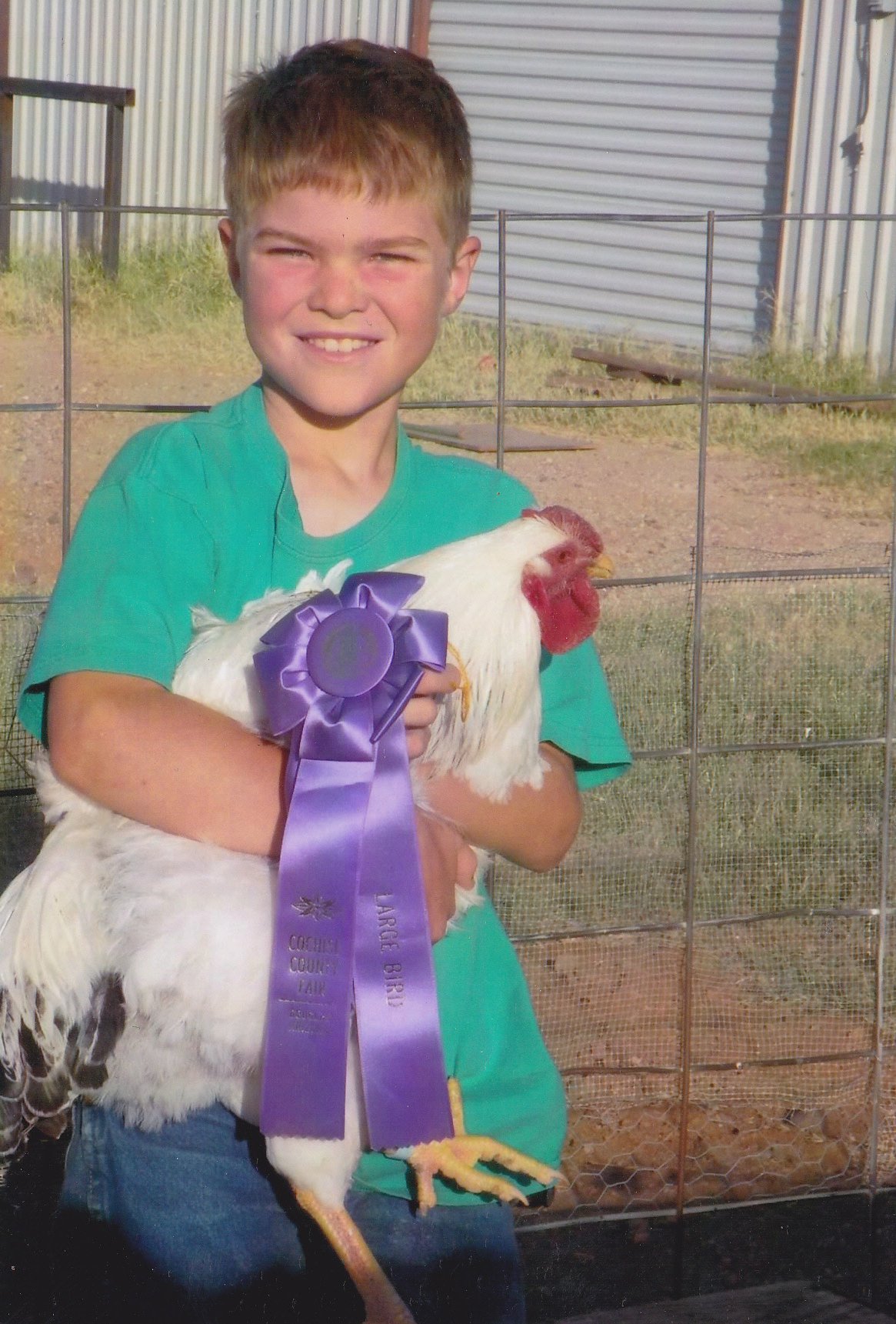Columbian Wyandotte Chicken - Image 3